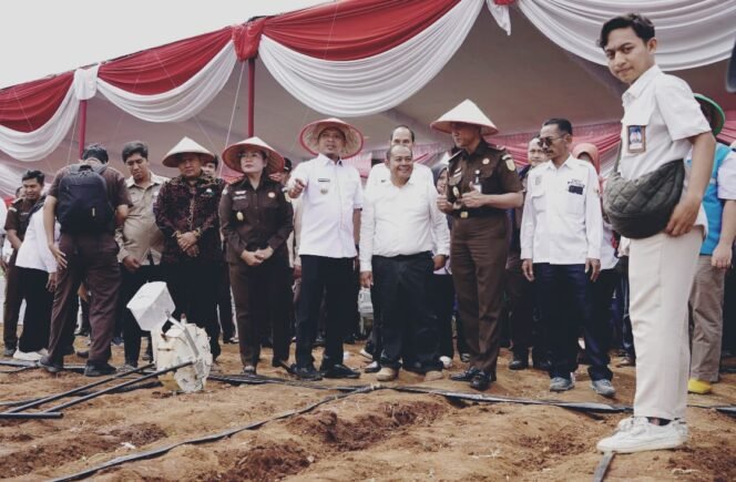 
					Dukung Ketahanan Pangan, Kejati Lampung dan Pemkab Pringsewu Tanam Jagung