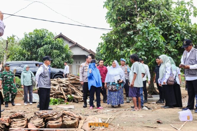 
					Respons Cepat Pascaputing Beliung, Bupati Nanda Indira Turun Langsung ke Tegineneng