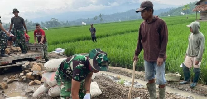
					Progres Signifikan TMMD ke-127 di Way Khilau: Jalan 90 Meter Rampung, Talud Capai 130 Meter